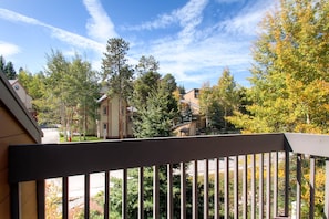 Master deck- Winterpoint 22 - Breckenridge Vacation Rental