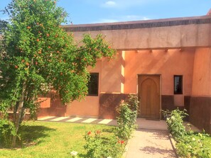 Front view