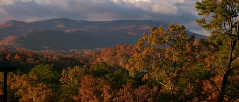 Changing of the leafs in September thru October