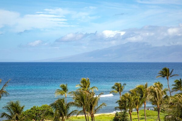 Serenity framed by palm trees and sea breeze HKH-648
