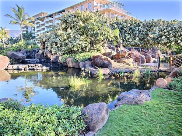 Landscaped with Hawaiian vegetation     HKH-423