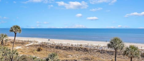 Wow! What an Oceanfront View - it can't be Beat!