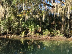 FL Nature's Coast; spring fed canal