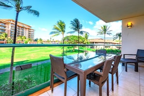 Lanai with a view