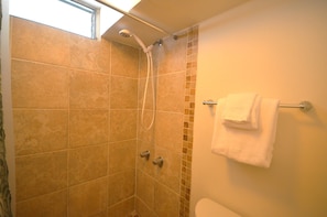 Shower and bathroom