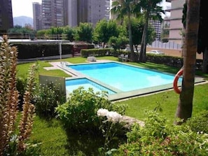 Swimming-pool and garden