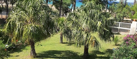 giardino fronte mare