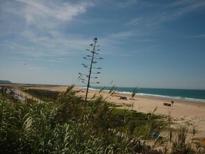 Playa