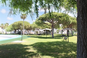 Terrain de sport