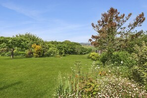 Back Garden