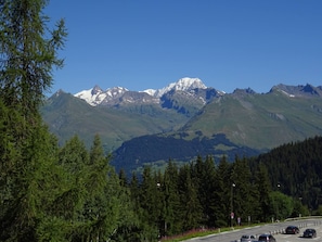 Summer view