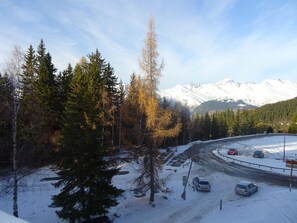 Winter view