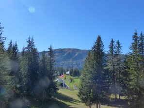 Summer view