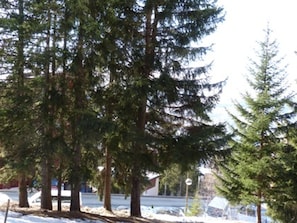Winter view