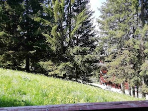 Summer view