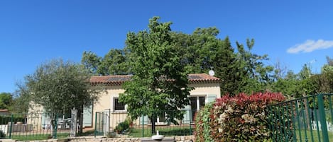 La Provence verte, olivier, tilleul, ,l'amandier devant les heures douces, en arrèere plan les chênes