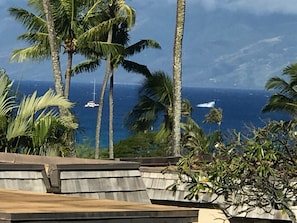 Watch the sail boats and breaching whales from our Lanai