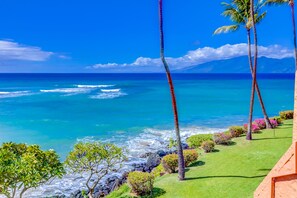 K_719-IMG_0580_1_2K