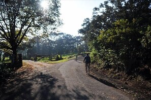 A Ride in the Countryside