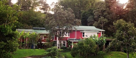 Keolamauloa - Homestead