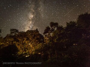 Photo: Roberto Trama - a guest who captured this image in our yard at night.