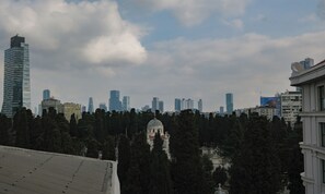 Vista desde la habitación