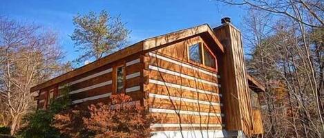 Bear Elegance Log Cabin