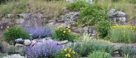 Jardines del alojamiento