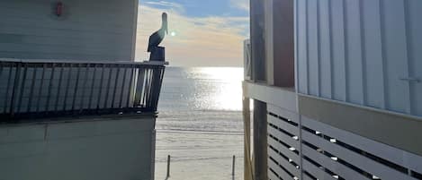 Beach view from cottage deck