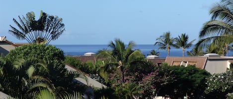 Ocean & Garden View from Large Spacious Lanai. All New A/C's & Major Appliances