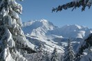 Vue du Mont-Blanc depuis la foret en haut du chalet