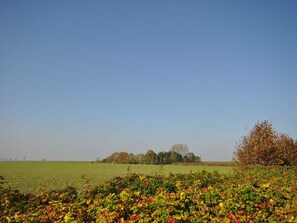 Boendeområde