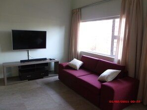 The Lounge Showing TV