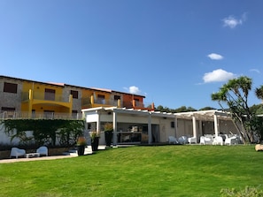 Trädgård