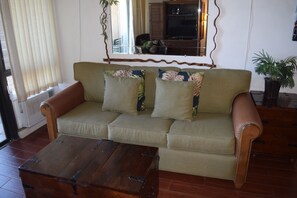 New living room sofa sleeper