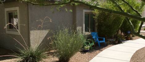 Birds eye view, wide variety of desert birds from the outdoor chairs