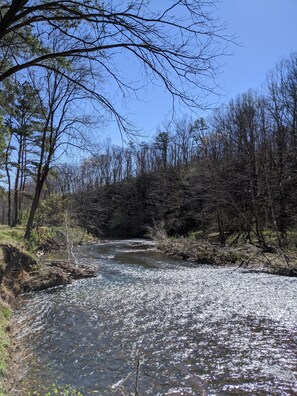 Rockfish river in your backyard