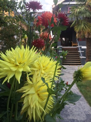 Entrance to the suite...