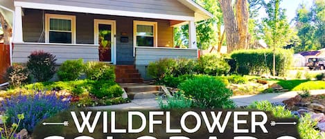 Spacious front porch with swinging bench, mature trees, & wildflowers galore!