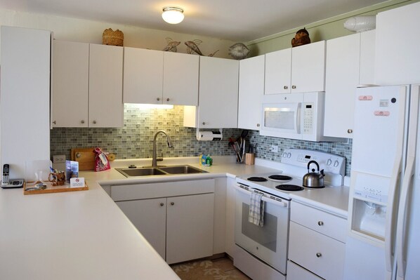 Large kitchen with lots of counter space