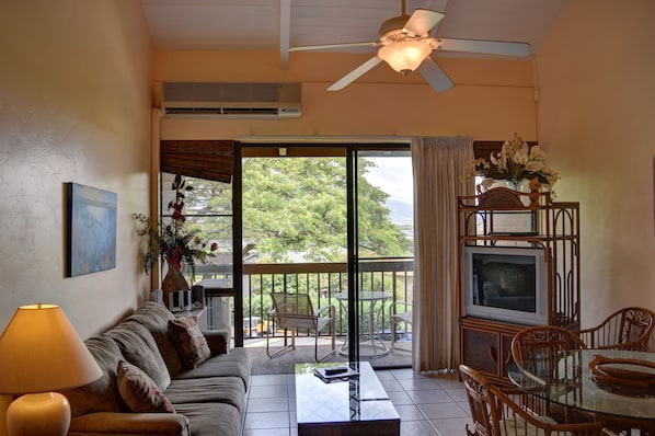Living room open to lanai
