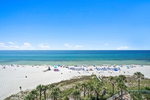 Direct Beach and Gulf Views