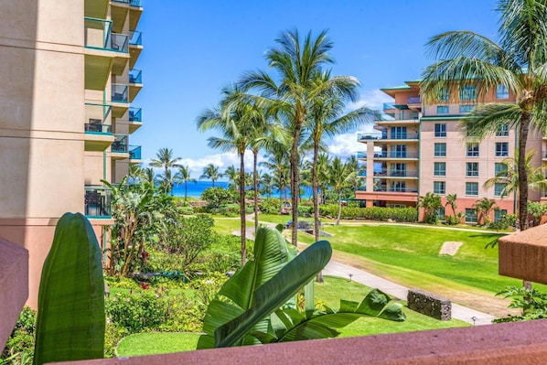 Gorgeous ocean views from the lanai - just steps to the beach!