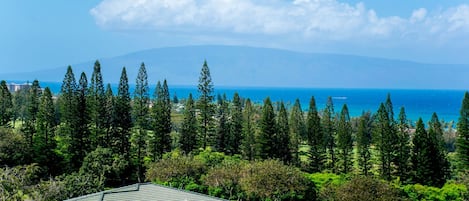 Vue depuis l’hébergement