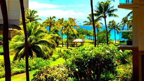 Gorgeous tropical greens with peeks of the Pacific?your private island retreat starts here in West Maui HKH-216