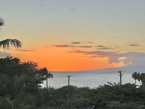 Maui Kamaole H212