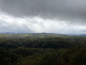 Oklassificerad bild, 5 av 32, knapp