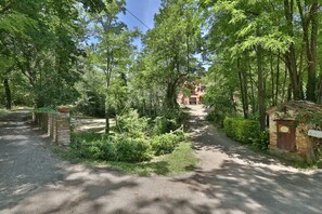 Tree, Nature Reserve, Vegetation, Property, Natural Environment, Biome, Forest, Trail, Woodland, Land Lot