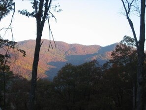 Majestic fall folliage viewed from front porch