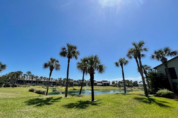 lagoon view 